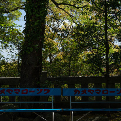 Retro benches lined up in the shade of trees