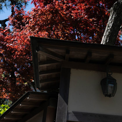 Autumn foliage at Enoshima Shrine