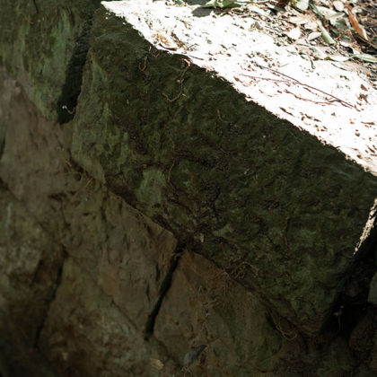 Stone bricks in the downtown area